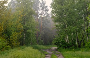 Yol çayırlardan ve ormanlık alanlardan geçiyor. Doğa resmedilmeye değer. Turizm.