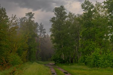 Yol çayırlardan ve ormanlık alanlardan geçiyor. Doğa resmedilmeye değer. Turizm.