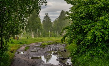Yol çayırlardan ve ormanlık alanlardan geçiyor. Doğa resmedilmeye değer. Turizm.