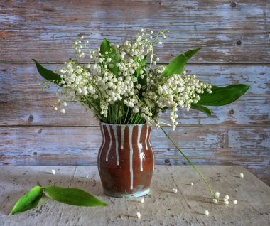 Güzel bir buket taze kesilmiş beyaz ve güzel kokulu vadi zambakları..