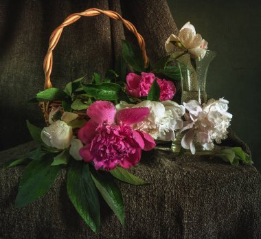 Güzel kokulu beyaz ve kırmızı şakayıklar..