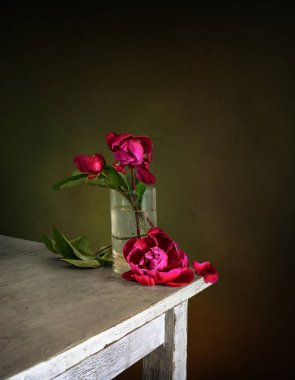 Henüz küçük bir vazoda açılmamış birkaç şakayık tomurcuğu. Minimalizm.