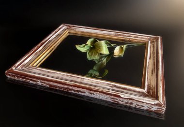 Yapraklı bir dal, tahta çerçeveli bir aynaya yansıtılır..