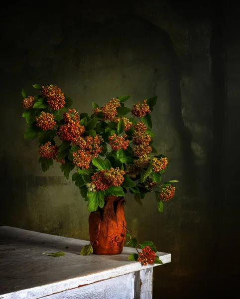 在陶瓷花瓶里的一丛丛开花的鞑靼枫树枝条 简约主义复古 — 图库照片