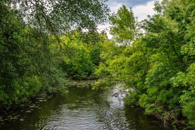 Bankaların ormanla kaplı olduğu nehir. Yürüyüş ve su turizmi. Güzel doğa..