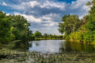 Bankaların ormanla kaplı olduğu nehir. Yürüyüş ve su turizmi. Güzel doğa..