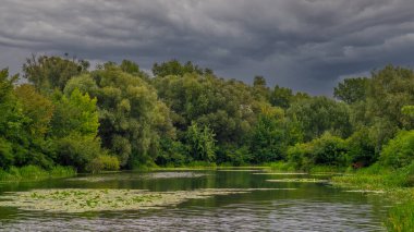 Sakin suları ve çiçekli nilüferleri olan küçük bir nehir ağaçlık bir alanda akar. Güzel doğa..
