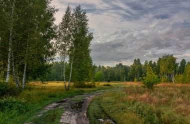 Etrafı otlarla çevrili güzel bir çayır. Doğa turizmi için iyi bir yer.