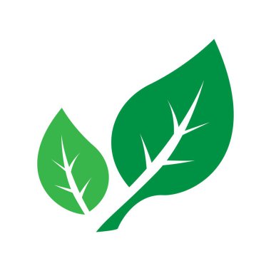 Eco gıda Logo simge tasarım