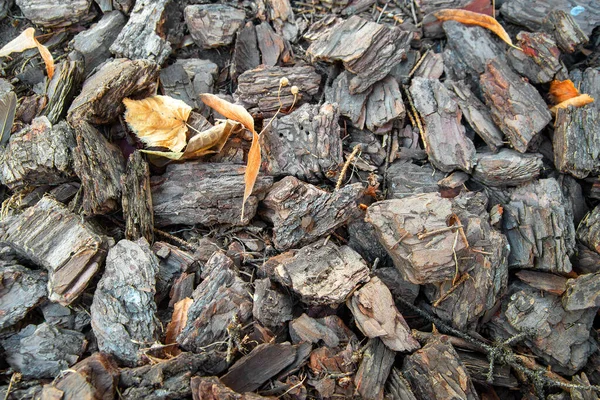 Många Träbitar Golvet Bakgrund Tillverkad Bruna Träflis Återvunnet Komprimerat Trä — Stockfoto