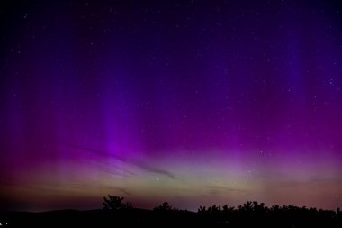 Kuzey ışıkları ve mor renkler bir ormanın üzerinde yıldızlı gökyüzüne karşı
