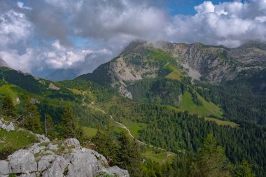 Almanya 'daki büyük kayalık dağlar bir yaz günü yoğun bir çam ormanıyla kaplıdır.