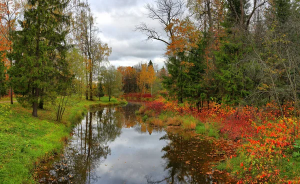 Krajobraz Kolorowymi Jesiennymi Liśćmi Rzeką Pochmurny Dzień — Zdjęcie stockowe