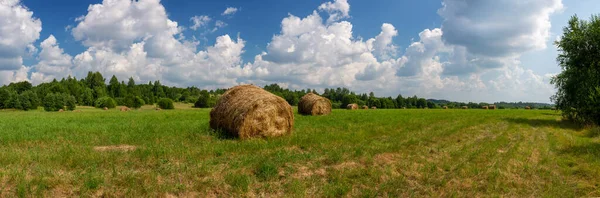 Großformatiges Sommerpanorama Mit Grünem Feld Heuhaufen Und Weißen Wolken — Stockfoto