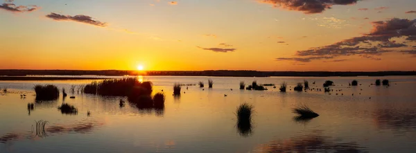 Panorama Estival Grand Format Lever Soleil Sur Lac Miroir — Photo