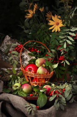 Kırsal yaşam, böğürtlenli kırmızı rowan ve koyu arkaplanlı elmalarla