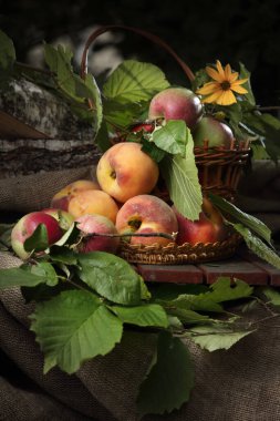 Şeftali ve elmalarla dolu taşralı hayat eski moda bir arka planda