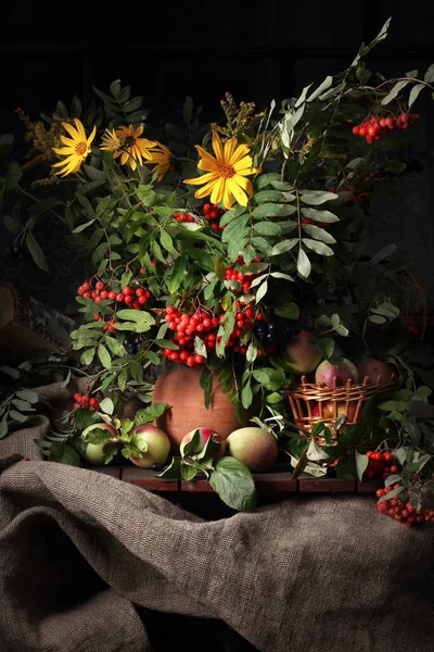 Rustikales Stillleben Mit Beeren Eberesche Und Äpfeln Auf Dunklem Hintergrund — Stockfoto