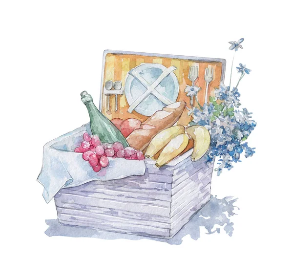 Piknik Kosár Egy Üveg Bor Gyümölcs Akvarell Művészet — Stock Fotó