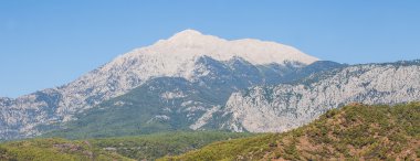Kemer, Türkiye'de dağ tahtalı 