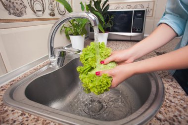 Sebze yakın çekim yıkama