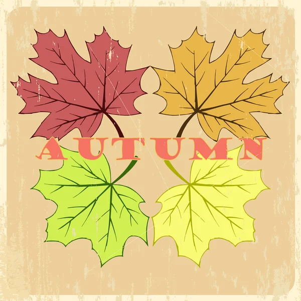 Vektor őszi kézzel rajzolt levelek — Stock Vector