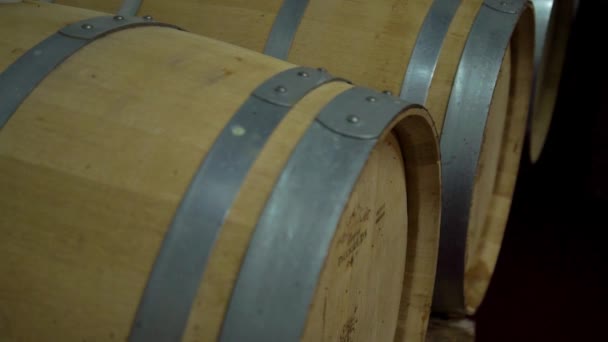 Винзавод, современный винный завод с новыми большими резервуарами для брожения — стоковое видео
