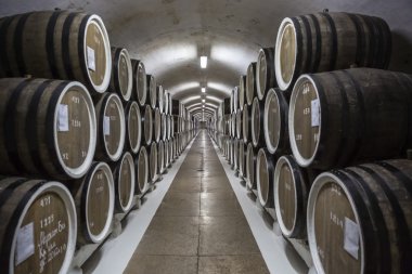 Kırım şarap tünel