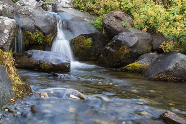 Kaukazie: Mountain creek — Zdjęcie stockowe