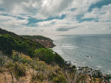 Büyük Okyanus Yolu 'ndaki Otway Burnu Sahili manzarası, Victoria, Avustralya