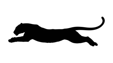 Görkemli aslan vektör çizimi. Siyah bir panterin silueti
