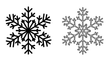 İki detaylı siyah beyaz kar tanesi dizaynı doğal kristal güzelliği sergiliyor.
