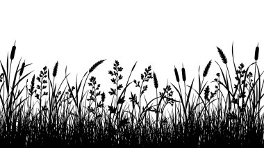 Uzun, vahşi otların silueti ve parlak beyaz gökyüzüne karşı tohum başları.