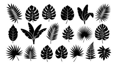 Çeşitli şekil ve dokularda siluetli tropikal yaprakların toplanması
