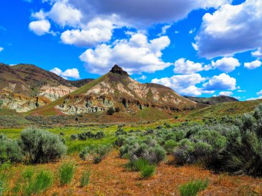 Koyun birim John gün fosil yatak sallamak