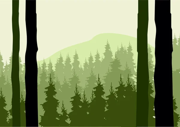 Misty forest landscape with pine trees — Stock Vector