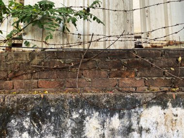 Dikenli tellerle kaplı eski, yıpranmış bir sınır duvarının yakın plan fotoğrafı, pürüzlü dokuları vurguluyor, kabuk soyuyor, yaş ve çürüme belirtileri gösteriyor..