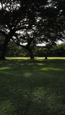 Park Nature, Landscape With Public Park, Green