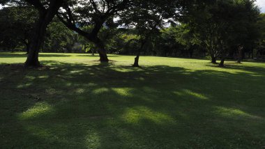 Park Nature, Landscape With Public Park, Green