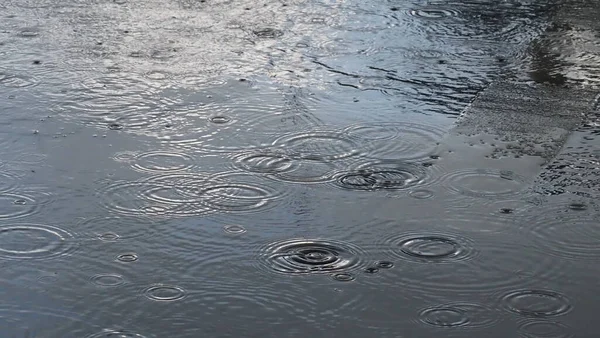 Yolda yağmur damlaları. soyut arkaplan