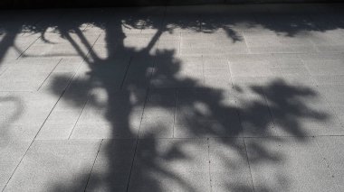 Sunlight With Tree Shadow on Wall, Planting Shadow, Komorebi, Light, Background 