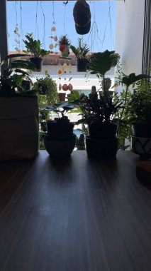 Kahve fincanı, bitki odası balkonlu kahve, kopyalama alanı....,