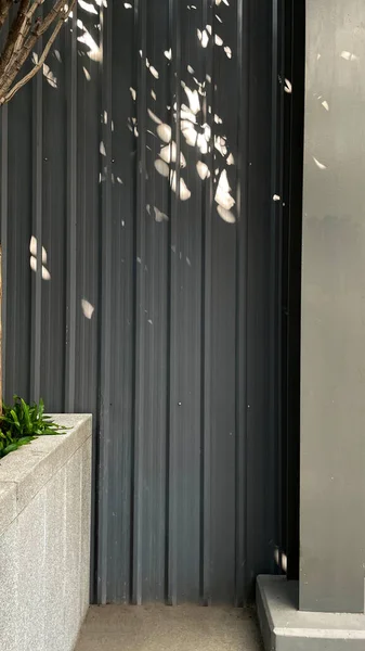 Sunlight With Tree Shadow on Wall, Planting, Shadowl, Empty Wall, Copy Space...,