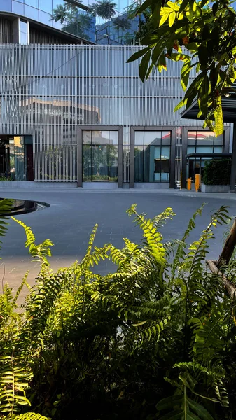 Mimarlık Arkaplanı Ağaç, İş, Modern Mimarlık Binası Arkaplanı, Boşluğu Kopyala