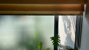 Çiçek Odası Balkon, Pencere, Uzayı Kopyala...,