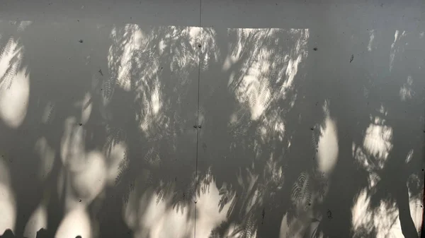 Duvarda ağaç gölgesi olan güneş ışığı, Gölge yerleştirme, 