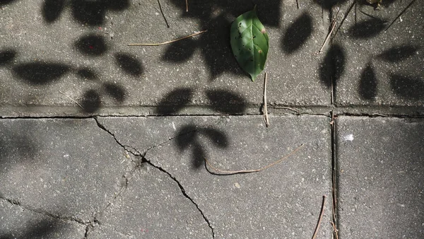 Siyah ve beyaz soyut arka plan. Beton kaldırım dokusu