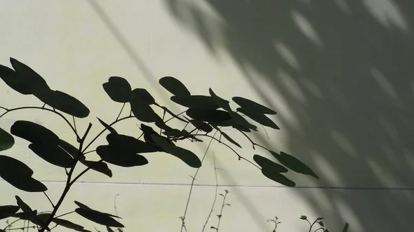 Siyah ve beyaz soyut arka plan. Beton kaldırım dokusu