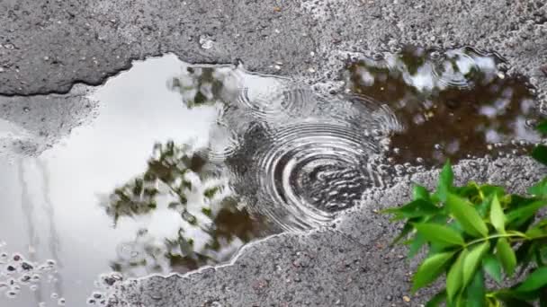 Reflété dans une flaque d'eau après une pluie 