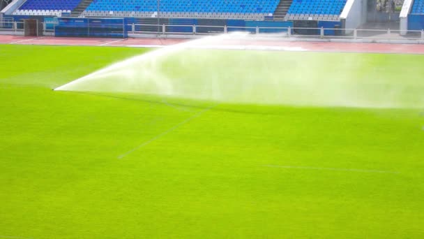 Watering the football field — Stock Video